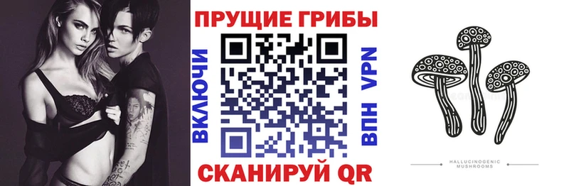 Галлюциногенные грибы Cubensis  Купить где  Заринск 